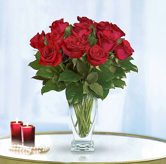 Rose Classique